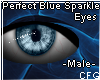 Perfect Blue Sparkle