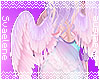 Aura Quartz Wings