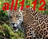 Alle 18