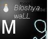 bloshya wall