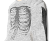 Skeletooon!