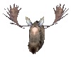 Rustic Moose Head
