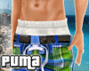 :::: Surfer Shorts