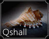Qs Shells Sticker
