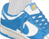 Dunks Blue