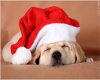 Christmas Puppy rug
