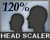 120 % Head Scale -M-
