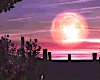 Romantic Sunset Lake
