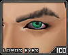 ICO Lords Eyes 