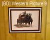 [BD] Western Picture 9
