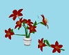 Animated Flowers 1