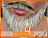 ! Silver Grey Beard