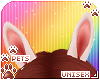 [Pets] Prism | ears v3