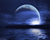 ! Blue Moon w/Top Lights
