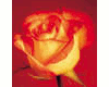 Antique Rose Sticker