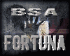 [NK] P.1 Fortuna >BSA<