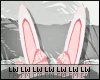 >Kid Bunny Outfit