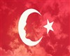 Turk bayragı [V]