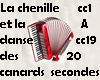 chenilecanar +accordeon