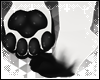 :0: Sleep Paws F