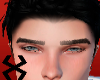 Black Eyebrows