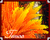 T|» Phoenix S.Tufts