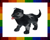 Black Grey Puppy