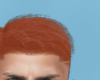 Tux Hair Ginger