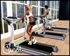 C* Gym Treadmills