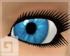 Azur Blue Eyes F.