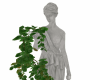 Aphrodite Statue R