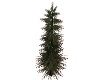 *Holiday Fir Tree*