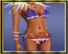USA Flag Bikini
