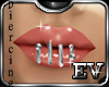 EV Silver Lip Snake 