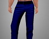 ~CR~Dark Blue Pants Suit