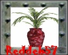 Red Vase with Plant