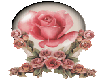 ponk rose globe
