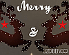 Christmas ReinDeer Decor