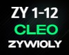 Celo Zywioly