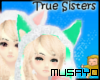 True Sisters [Mus]