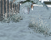 Winter Grass