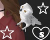Hedwig the Owl M/F