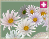 pastel add on daisies