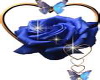 blue rose&heart belly