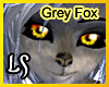 Grey Fox Tail