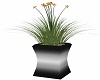 Steel Potted Grass 4