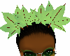 eve leafs crown