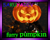 furry