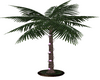Purple light Palm