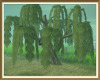 Misty Willow Tree